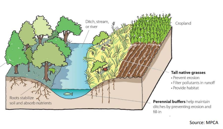 buffer-and-alternative-practices-benefits-mn-board-of-water-soil